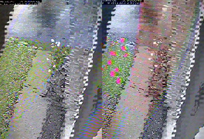 117420_1.jpg