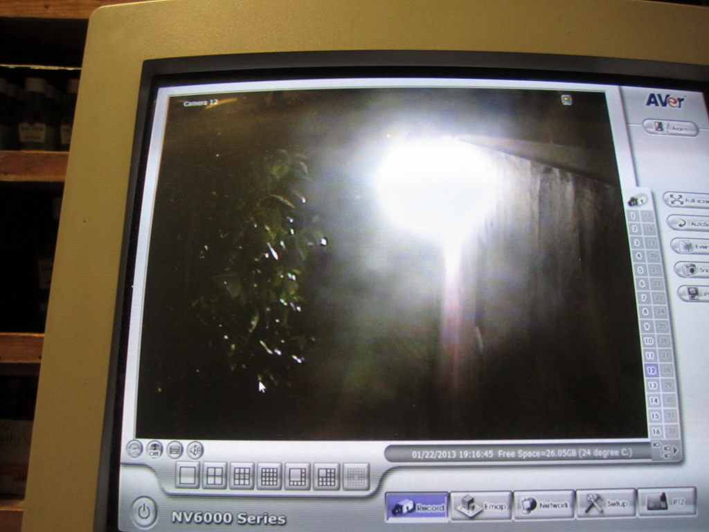 210349_18.jpg